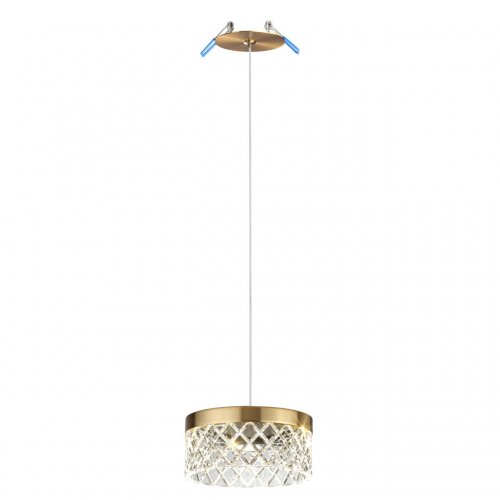 Подвесной светильник Odeon Light Fivre 5032/6L LED 6
