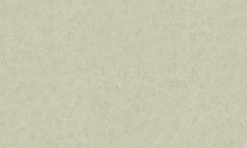 Виниловые обои Bernardo Bartalucci Renzo 84170-5