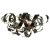 Люстра Lussole Briosco LSA-5907-09 Люстра Lussole Briosco LSA-5907-09