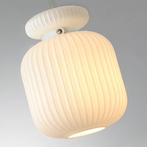 Подвесной светильник Odeon Light Jugi 5042/1C E27 60W