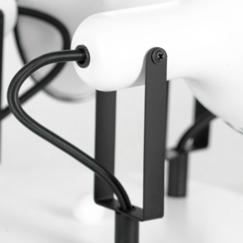 Спотовый светильник Lussole Fargo LSP-8803 40W белый