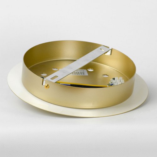 Люстра потолочная Lussole Blubber LSP-8875 2W матовое золото