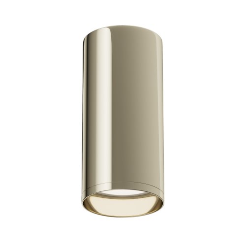 Потолочный светильник Technical Focus C010CL-01G