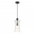 Подвесной светильник Odeon Light Pasti 4966/1 E14 40W Подвесной светильник Odeon Light Pasti 4966/1 E14 40W