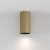 Потолочный светильник Technical Artisan C080CL-01-GU10-MG 10W матовое золото Потолочный светильник Technical Artisan C080CL-01-GU10-MG 10W матовое золото