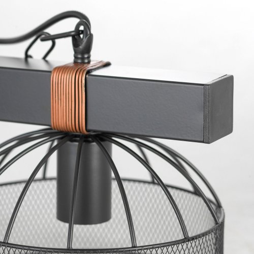 Подвесной светильник Lussole Fishers LSP-8799 60W Черный