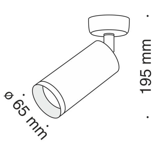 Потолочный светильник Technical Focus C017CW-01GF