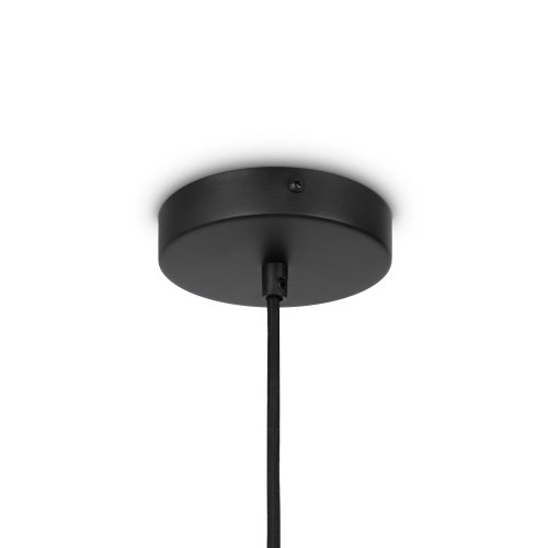 Подвесной светильник Maytoni Roots MOD197PL-01W1 40W черный