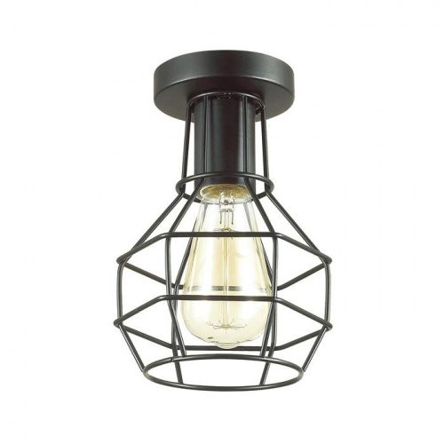 Светильник потолочный Lumion Harald 3637/1C E27 60 Вт