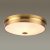 Настенно-потолочный светильник Odeon Light Marsei 4824/4C E14 160 Вт