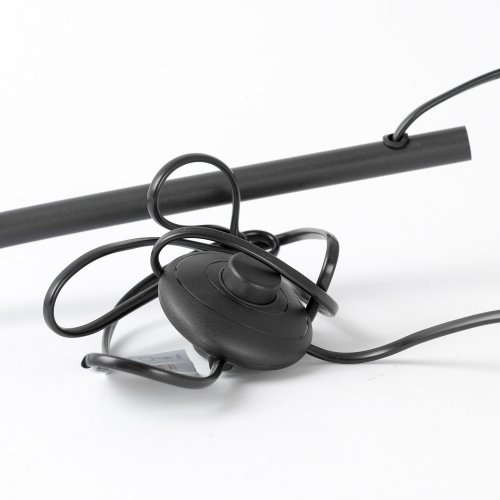 Торшер Lussole Escambia LSP-0720 60W черный