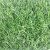 Искусственная трава Eco Green зеленая 20 мм Искусственная трава Eco Green зеленая 20 мм