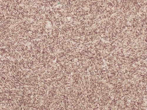 Жидкие обои Silk Plaster Рекоат 175 (7 кв.м.)