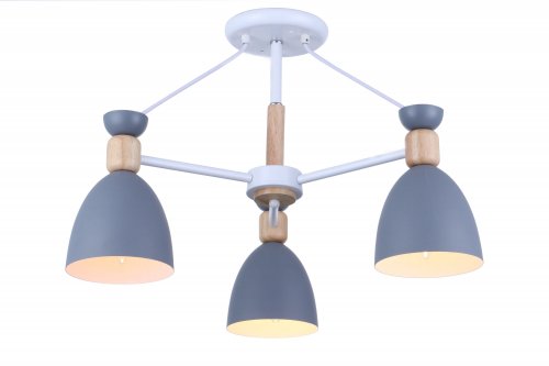 Потолочный светильник Freya Delia FR5033CL-03W