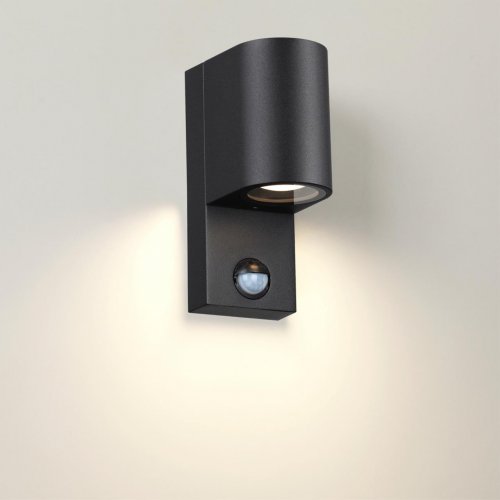 Фасадная подсветка Odeon Light Motto 4390/1W GU10 1*7W