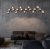 Люстра Maytoni Dallas MOD547PL-25CH Люстра Maytoni Dallas MOD547PL-25CH